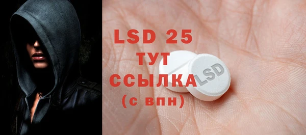 PSILOCYBIN Белокуриха