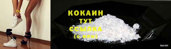 PSILOCYBIN Белокуриха