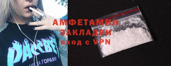 PSILOCYBIN Белокуриха
