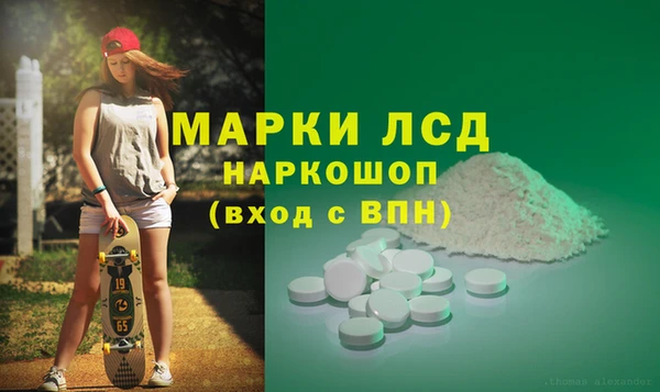 PSILOCYBIN Белокуриха